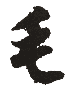 毛字的意思 毛字什么意思 汉字毛的意思 毛字念什么 毛怎么读毛字拼音