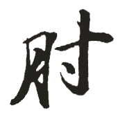 肘的解释 肘字的意思 肘字什么意思 汉字肘的意思 肘字念什么 肘怎么